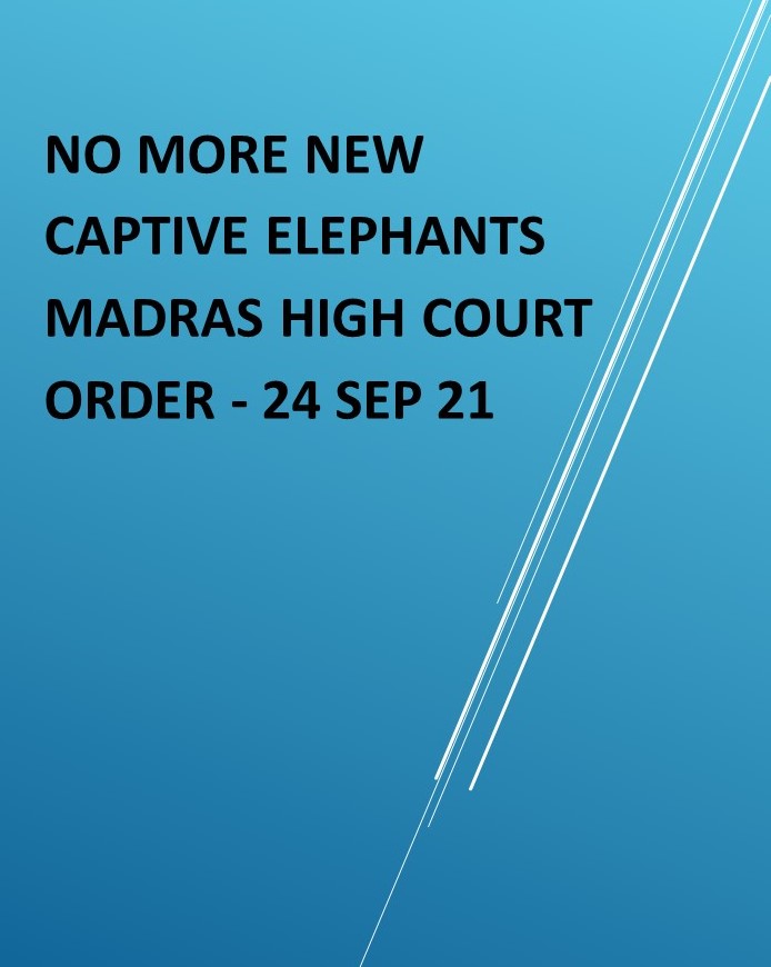 2021 HC Order-Ban new captive elephants in TN