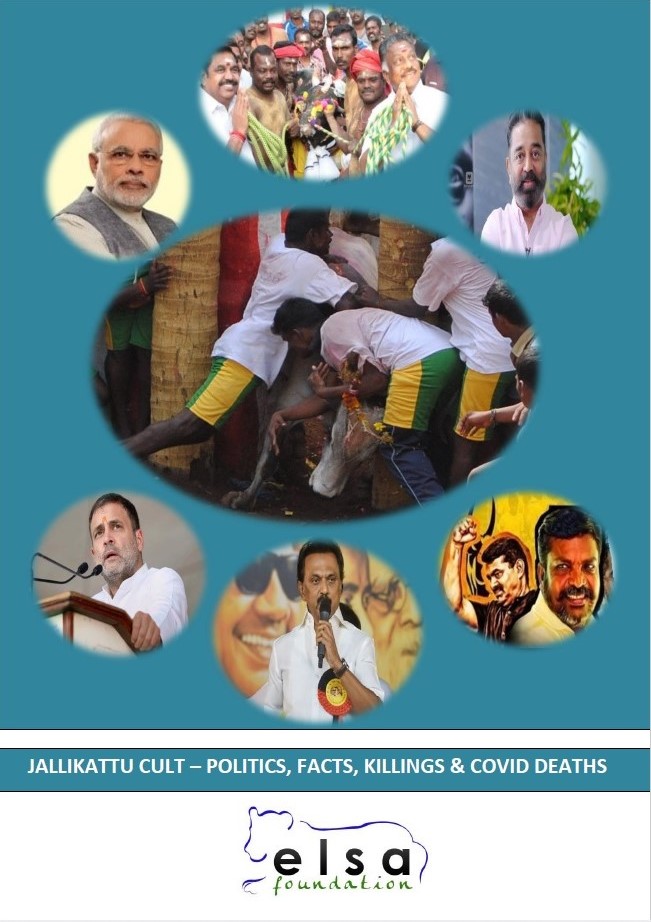 Jallikattu Cult-Politics & Killings