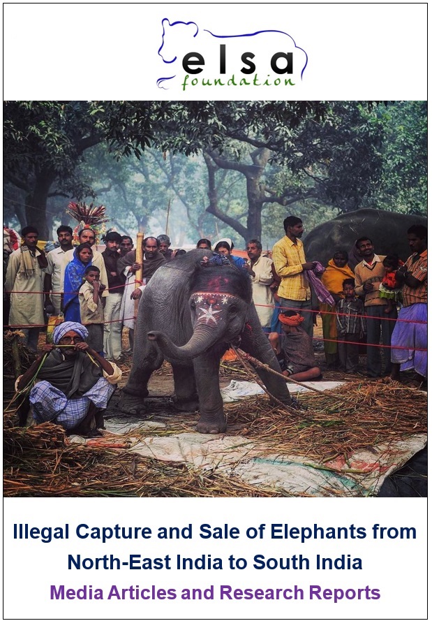 Illegal sale of elephants