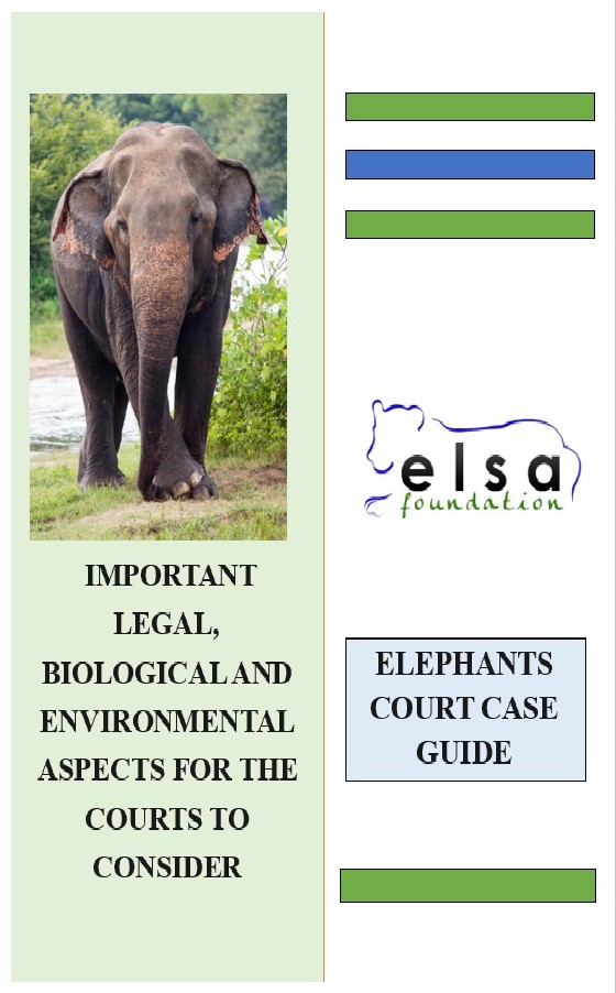 Elephants Court Case Guide