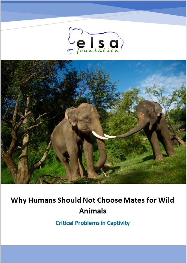Why Humans Should Not Choose Mates for Wild Animals
